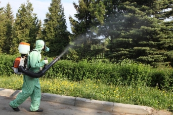 Уничтожение комаров в Щелково